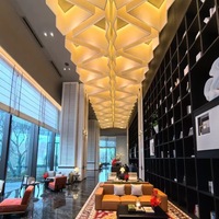 Customized Indoor Lighting08
